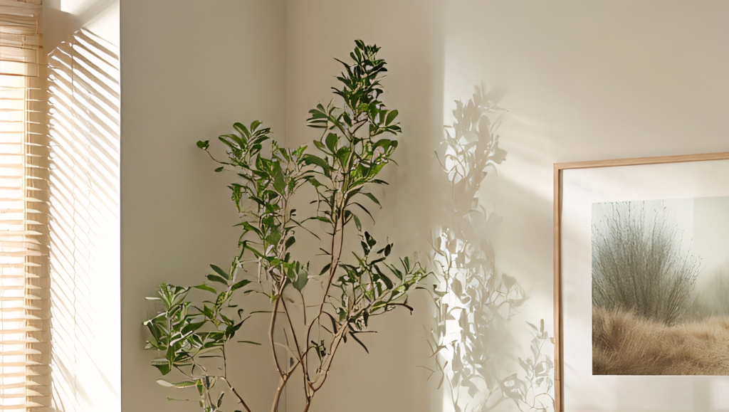 how to get closer to God by Kathy Abraham